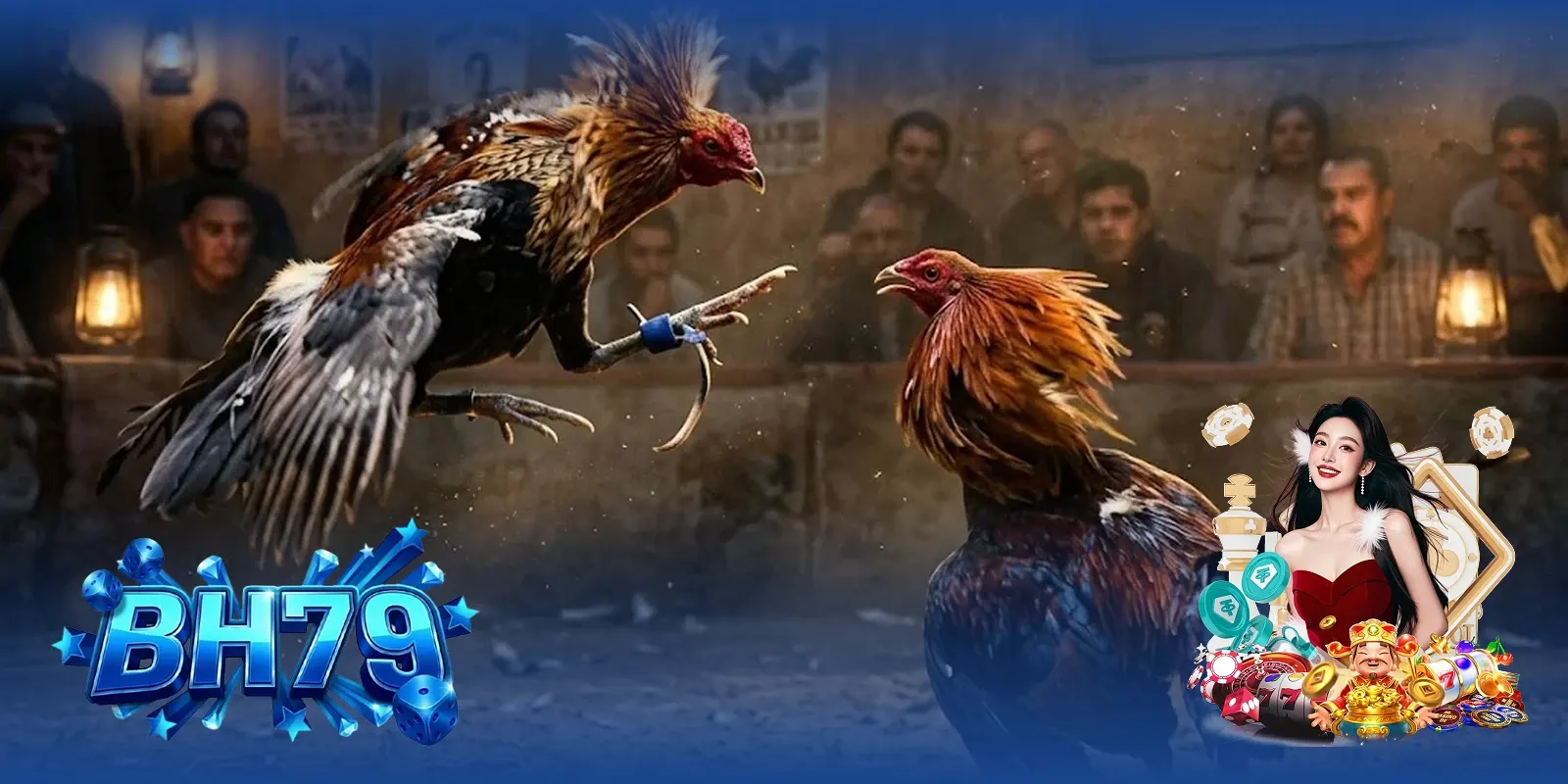 Gà chiến dòng Hà Tiên Long Bình