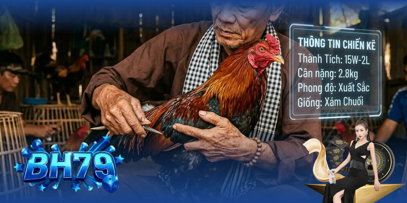 Phân tích tướng gà chiến trước trận đấu