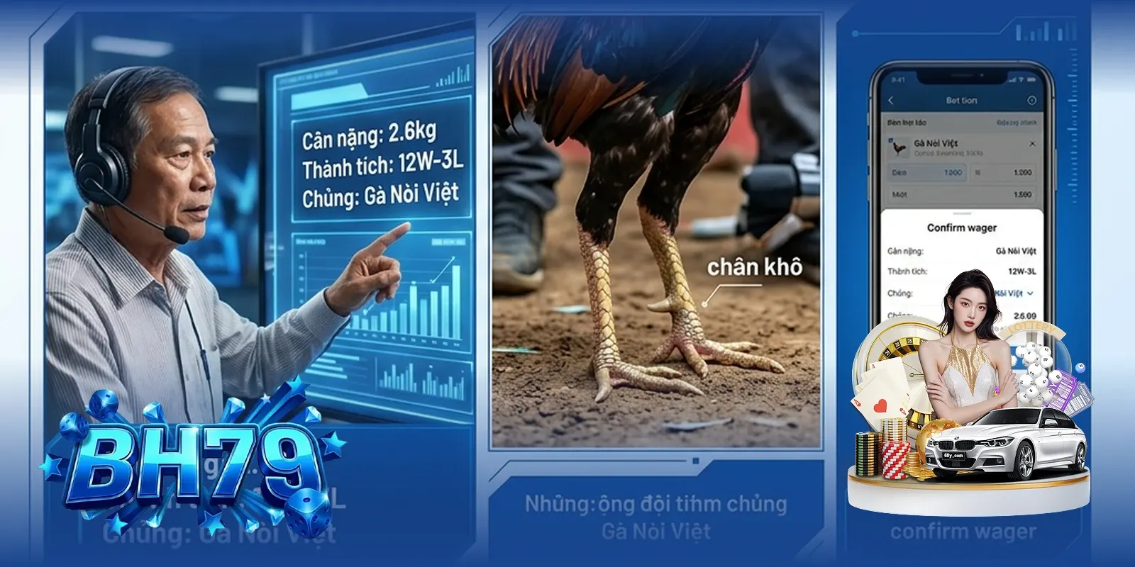Kinh nghiệm soi kèo gà quốc tế cho người mới